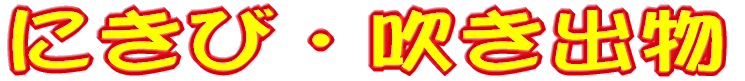 ̎ɂłujLrvƂłwɂłujLrv͎Ö@قȂ܂B